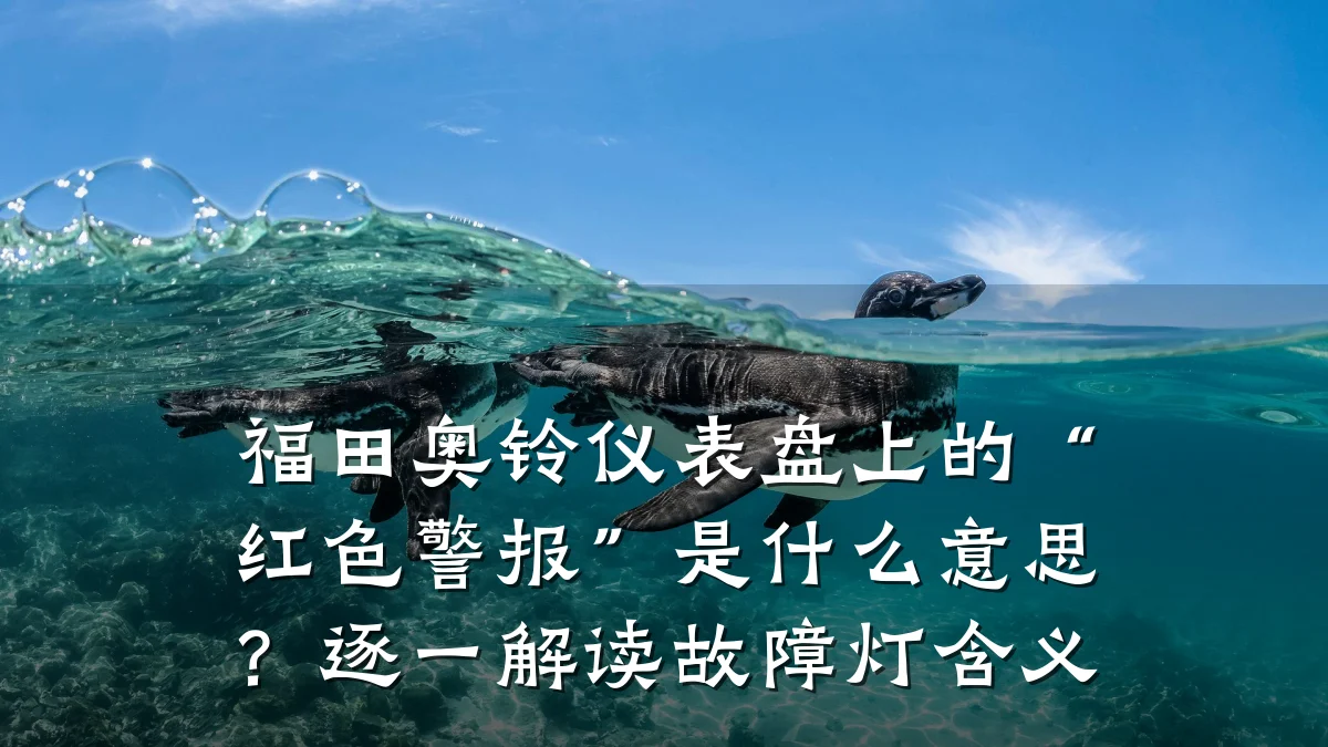 福田奥铃仪表盘上的“红色警报”是什么意思?逐一解读故障灯含义