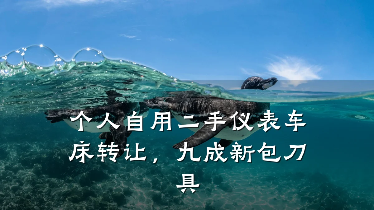 个人自用二手仪表车床转让,九成新包刀具