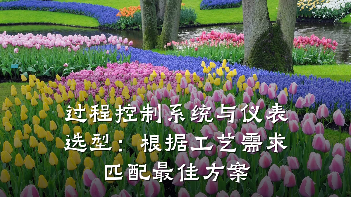 过程控制系统与仪表选型：根据工艺需求匹配最佳方案