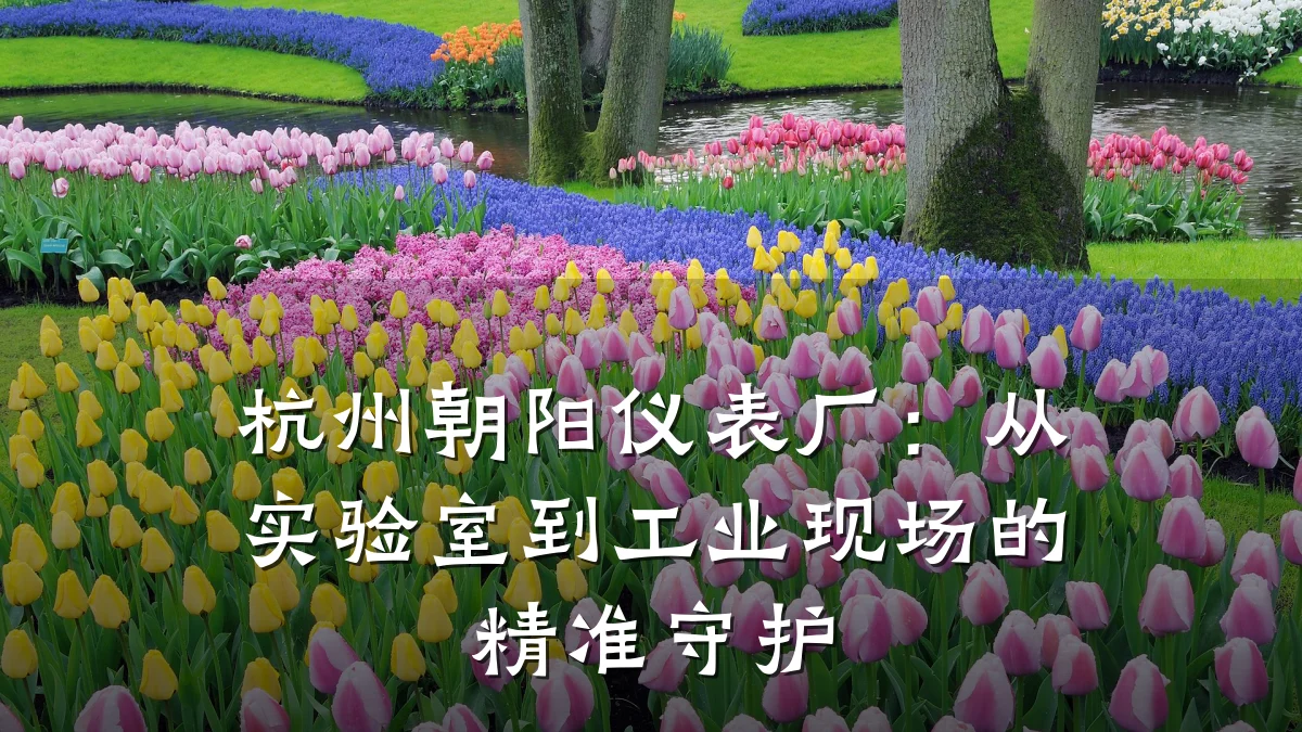 杭州朝阳仪表厂:从实验室到工业现场的精准守护