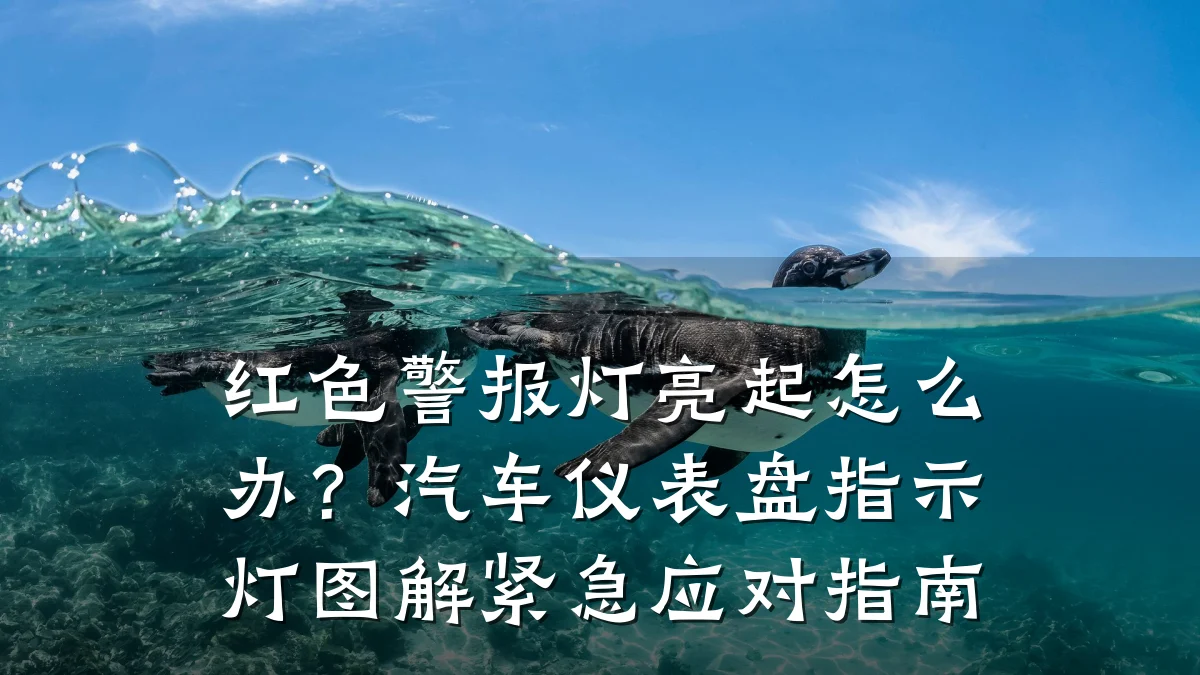 红色警报灯亮起怎么办?汽车仪表盘指示灯图解紧急应对指南