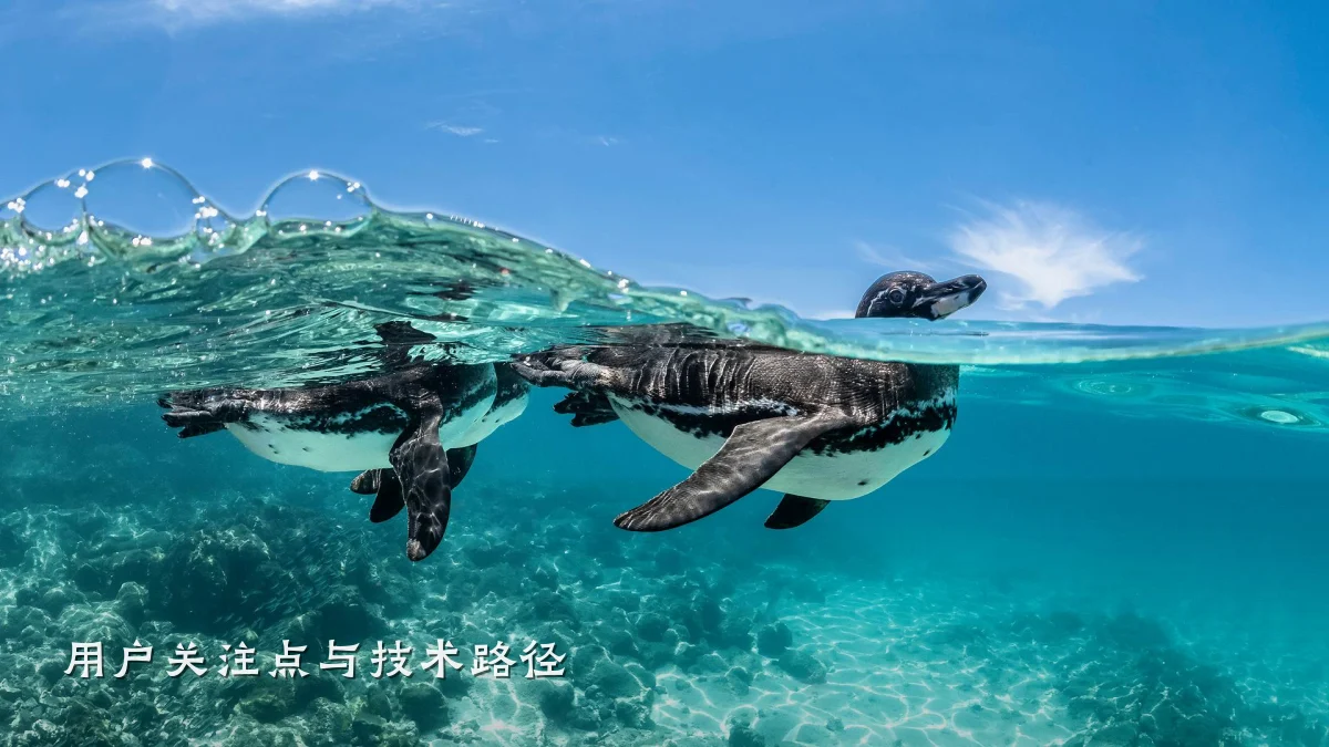 用户关注点与技术路径