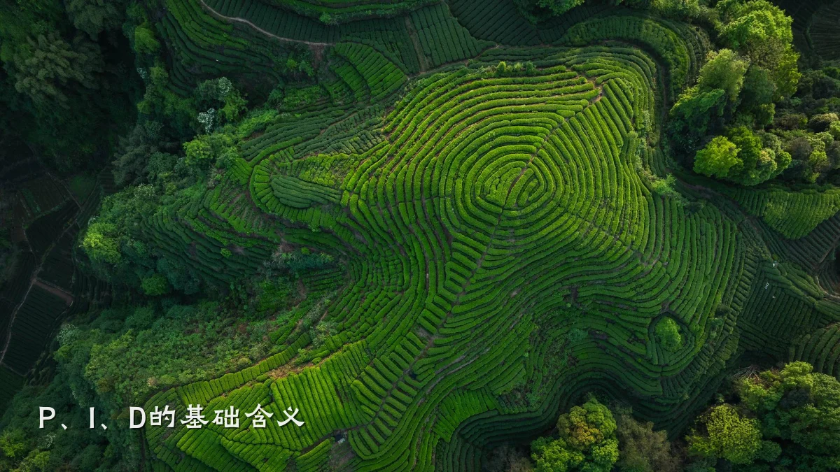 P、I、D的基础含义