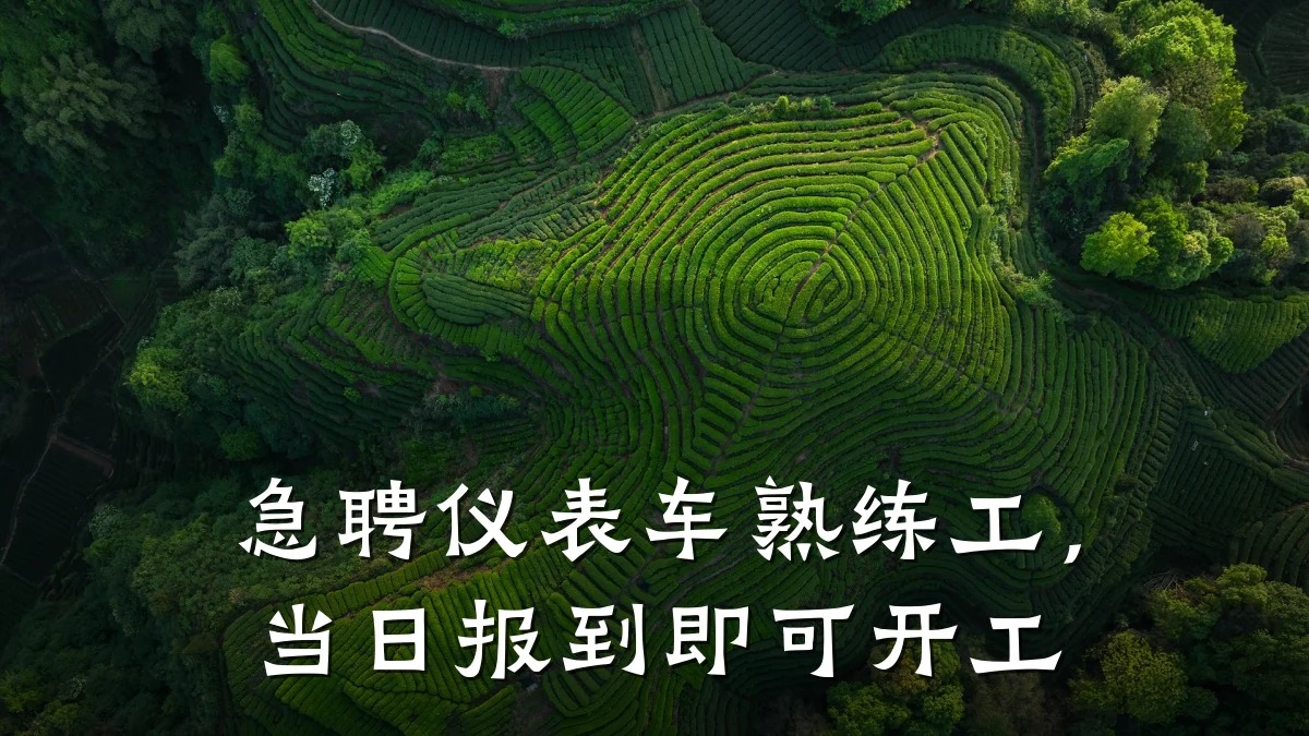 急聘仪表车熟练工,当日报到即可开工