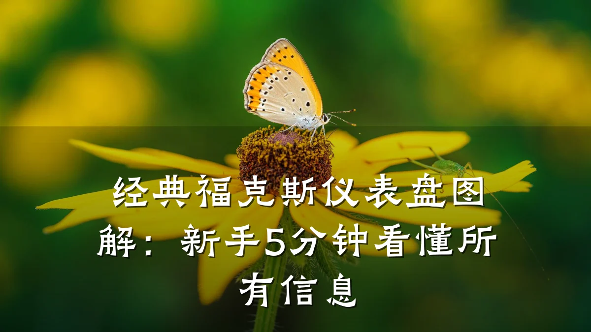 经典福克斯仪表盘图解:新手5分钟看懂所有信息