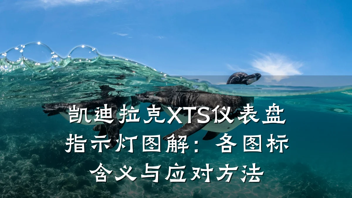 凯迪拉克XTS仪表盘指示灯图解：各图标含义与应对方法