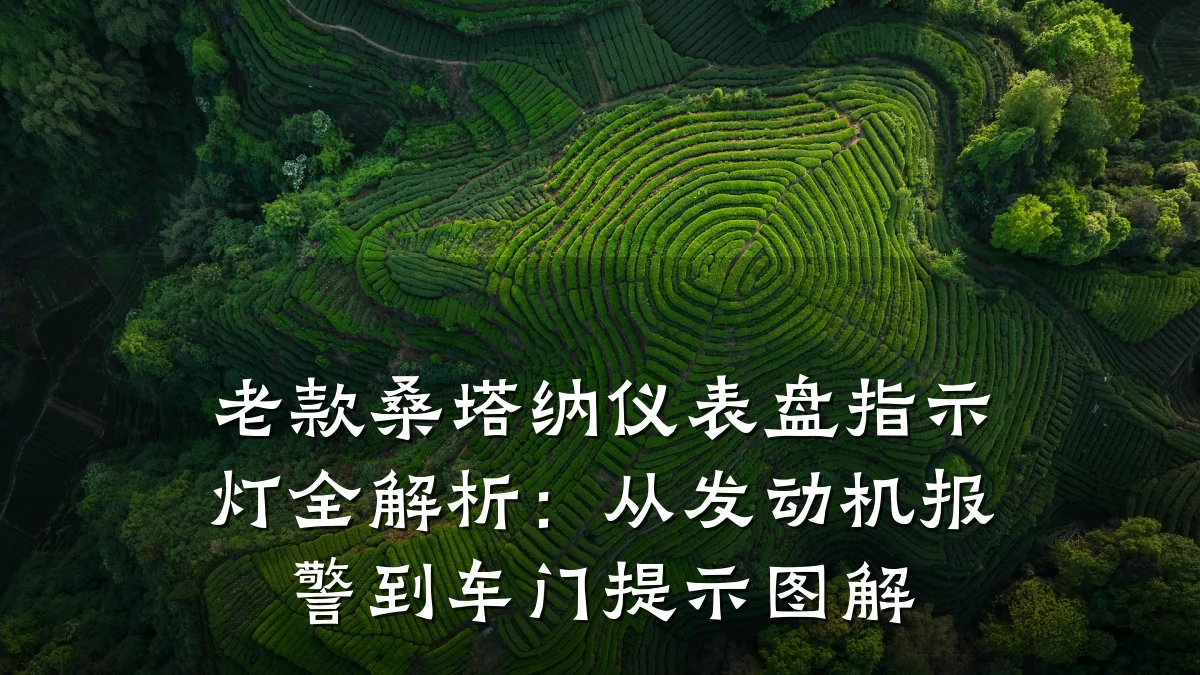 老款桑塔纳仪表盘指示灯全解析:从发动机报警到车门提示图解