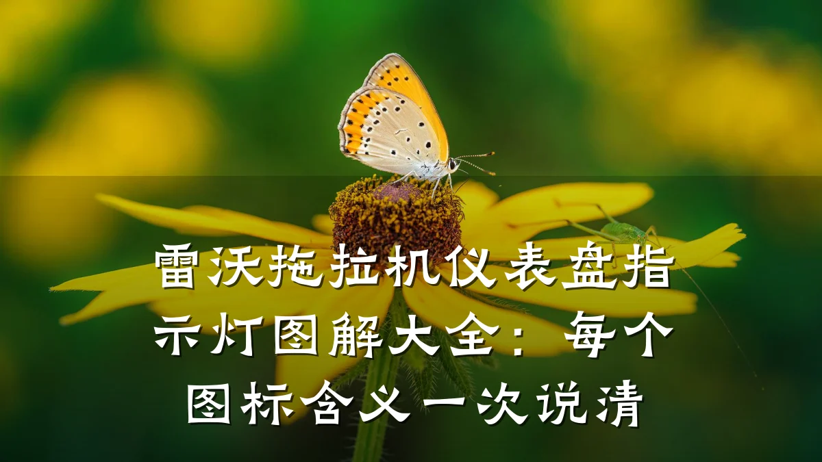 雷沃拖拉机仪表盘指示灯图解大全:每个图标含义一次说清