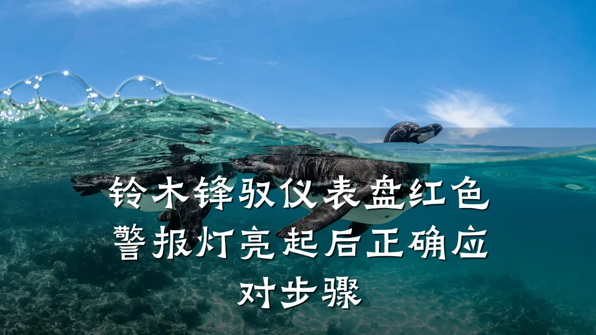 铃木锋驭仪表盘红色警报灯亮起后正确应对步骤