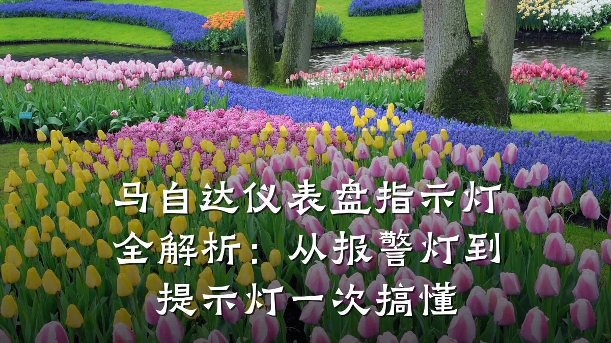 马自达仪表盘指示灯全解析：从报警灯到提示灯一次搞懂