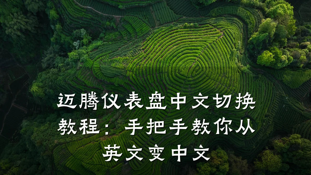迈腾仪表盘中文切换教程:手把手教你从英文变中文