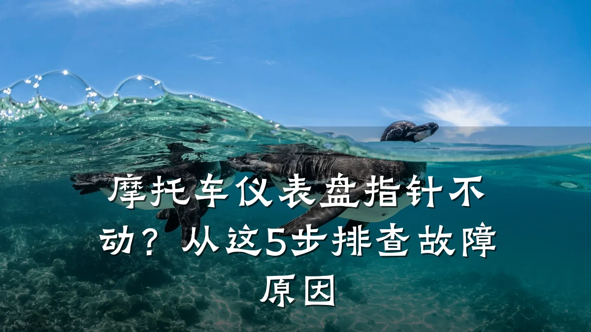 摩托车仪表盘指针不动？从这5步排查故障原因