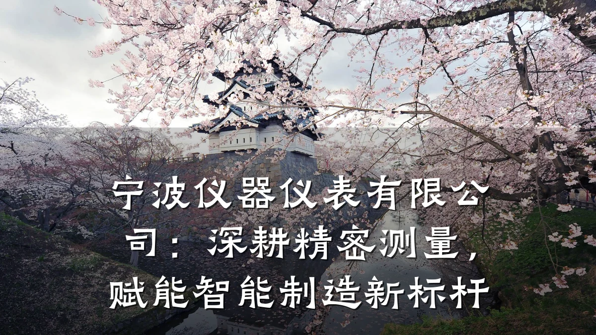 宁波仪器仪表有限公司：深耕精密测量，赋能智能制造新标杆