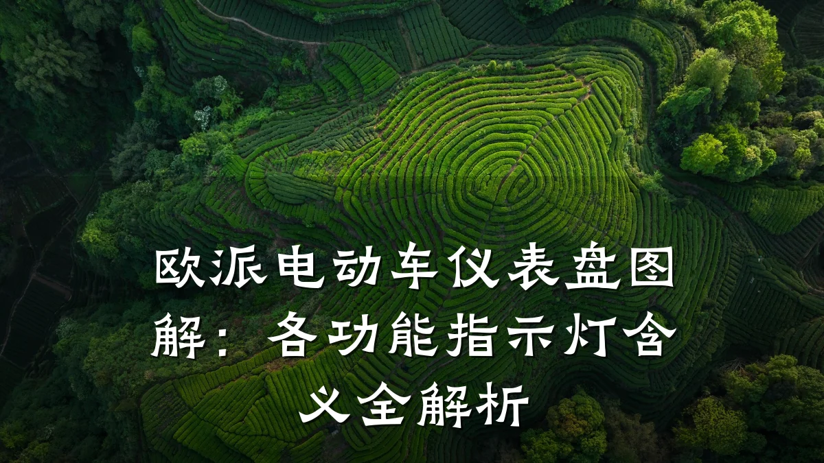 欧派电动车仪表盘图解:各功能指示灯含义全解析