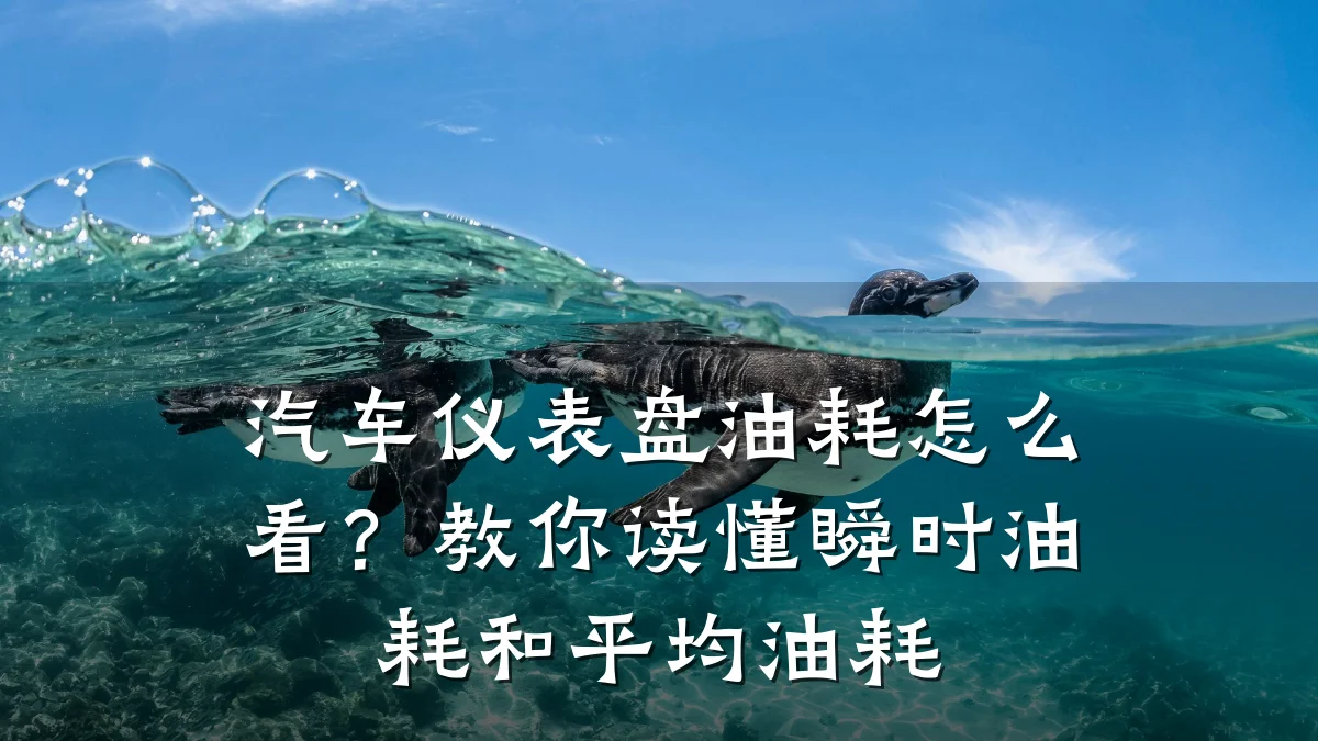 汽车仪表盘油耗怎么看?教你读懂瞬时油耗和平均油耗