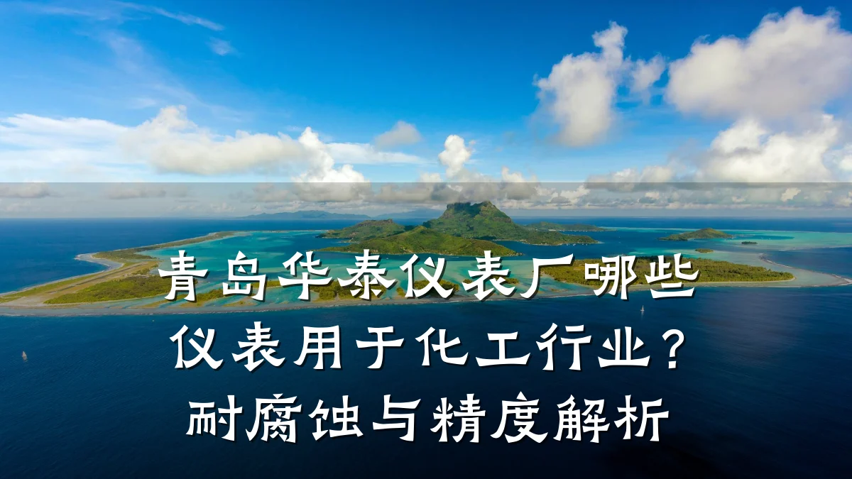 青岛华泰仪表厂哪些仪表用于化工行业?耐腐蚀与精度解析