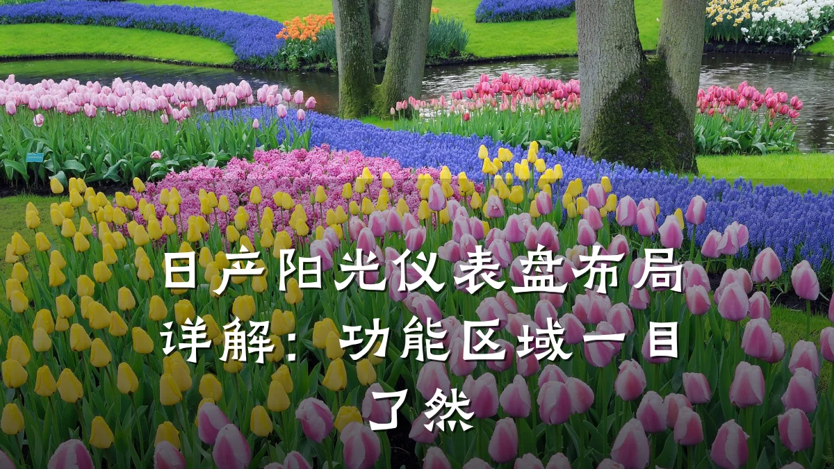 日产阳光仪表盘布局详解:功能区域一目了然