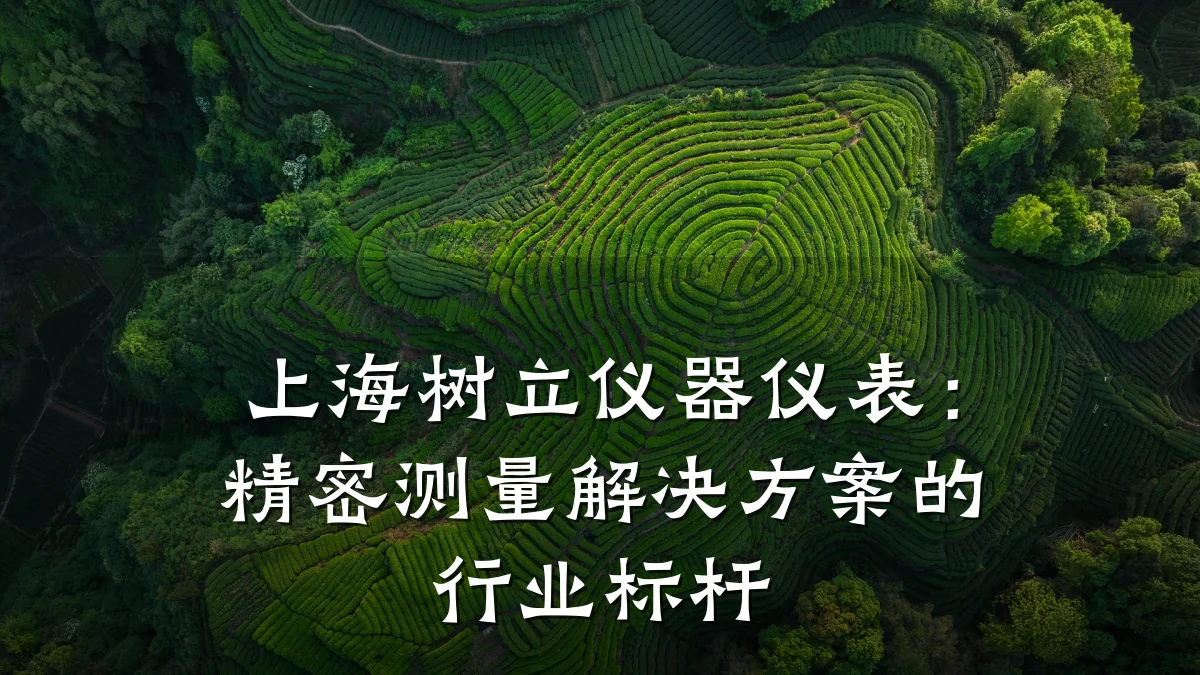 上海树立仪器仪表:精密测量解决方案的行业标杆