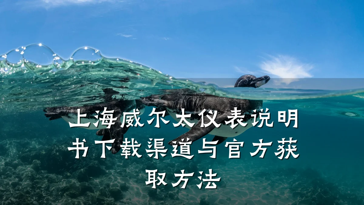 上海威尔太仪表说明书下载渠道与官方获取方法
