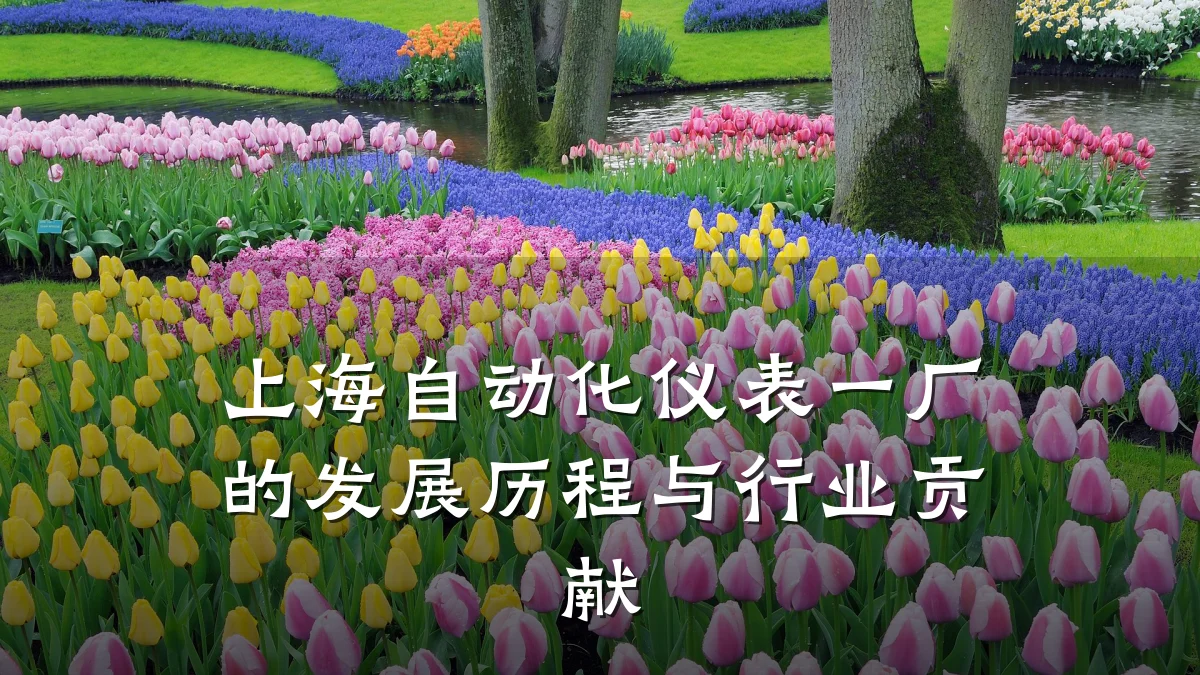 上海自动化仪表一厂的发展历程与行业贡献