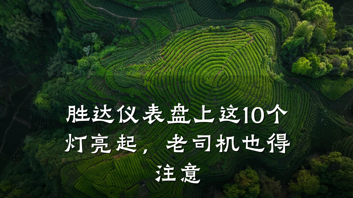 胜达仪表盘上这10个灯亮起,老司机也得注意