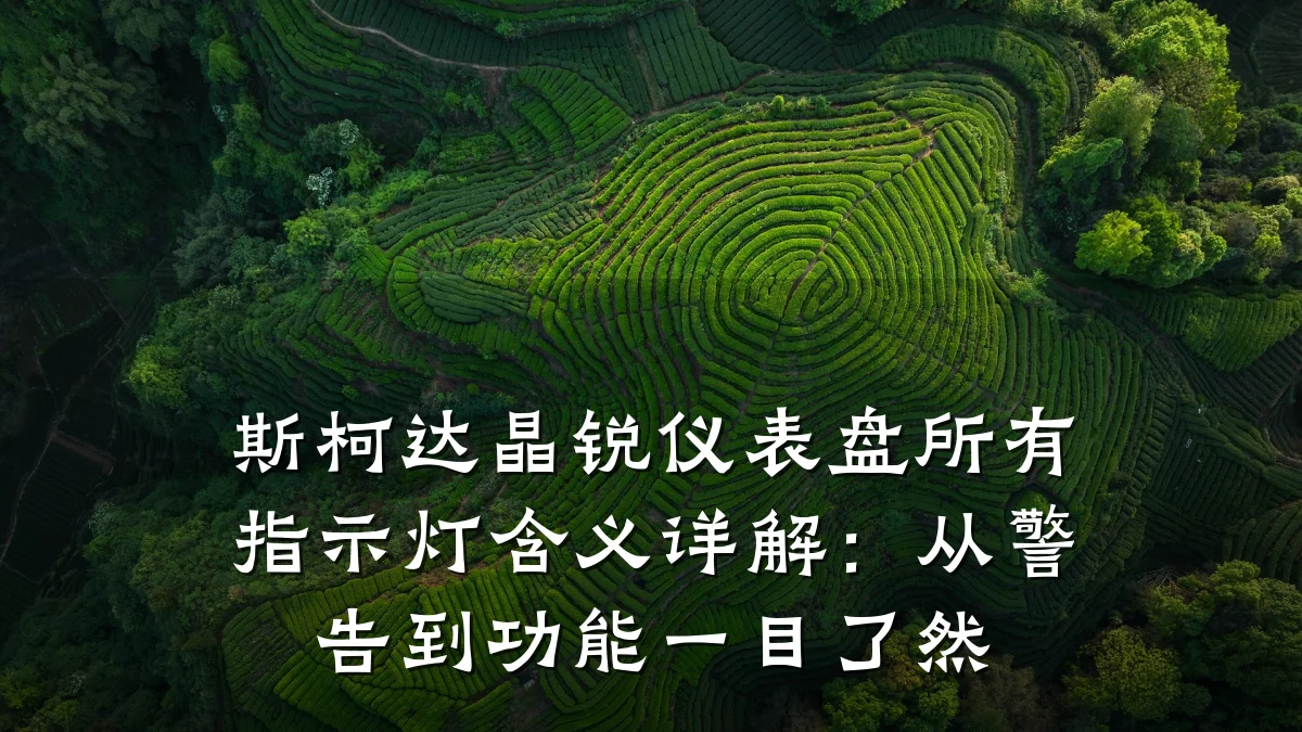 斯柯达晶锐仪表盘所有指示灯含义详解:从警告到功能一目了然