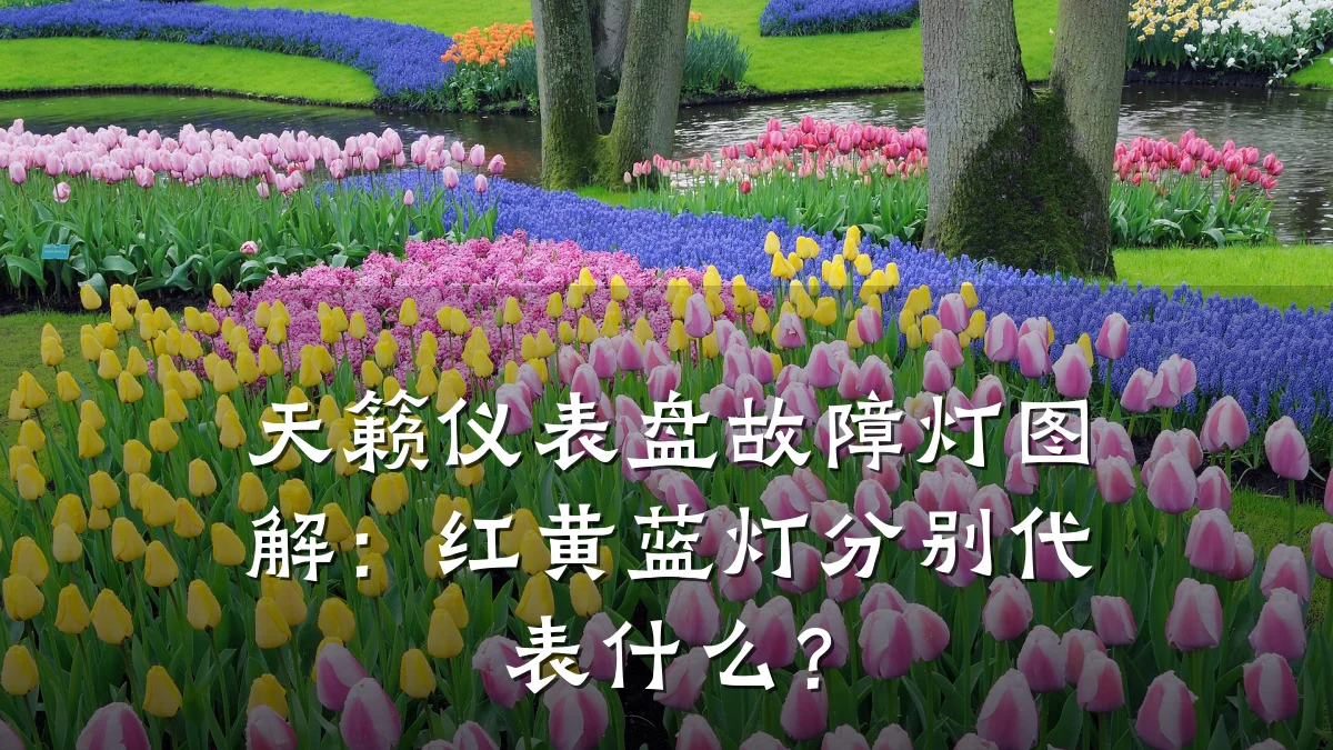 天籁仪表盘故障灯图解：红黄蓝灯分别代表什么？