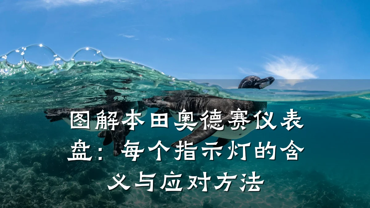 图解本田奥德赛仪表盘:每个指示灯的含义与应对方法