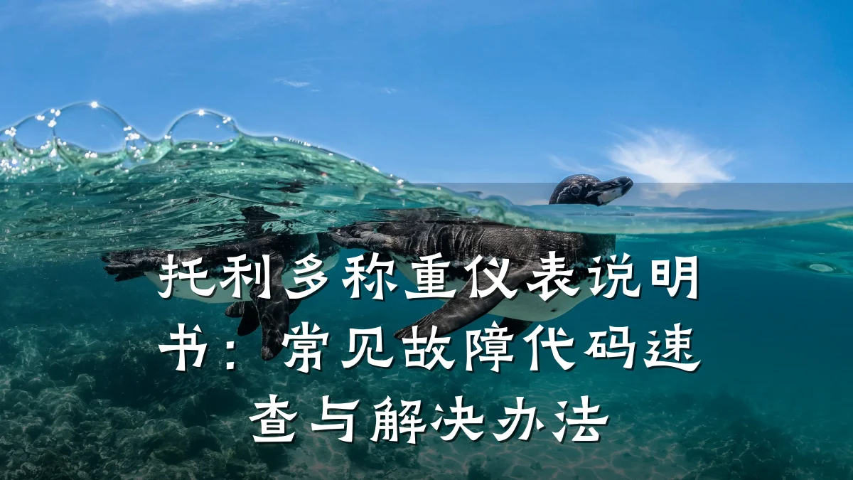 托利多称重仪表说明书:常见故障代码速查与解决办法