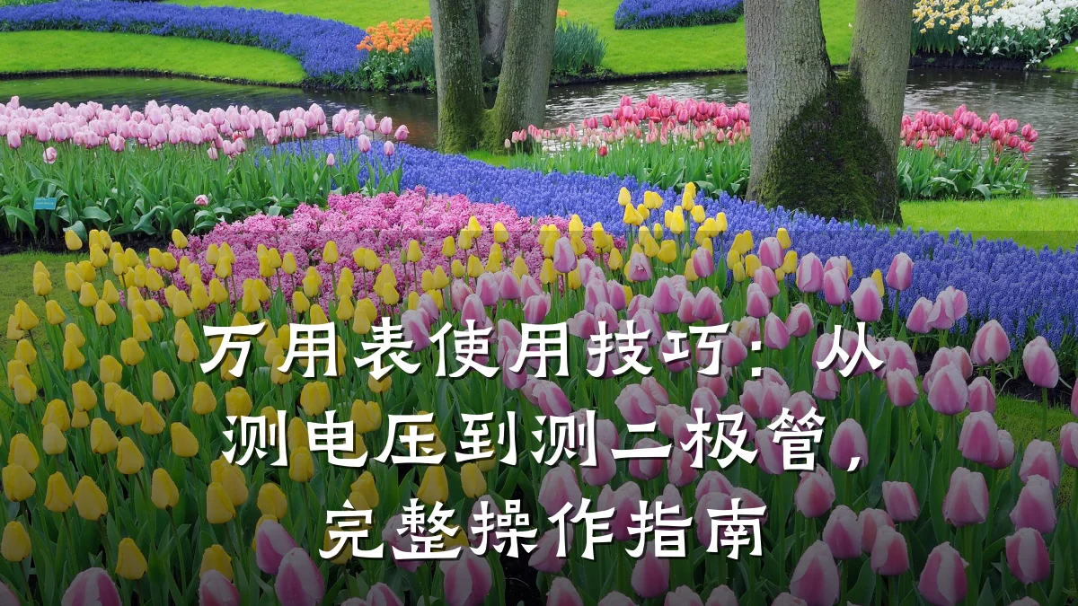 万用表使用技巧:从测电压到测二极管,完整操作指南