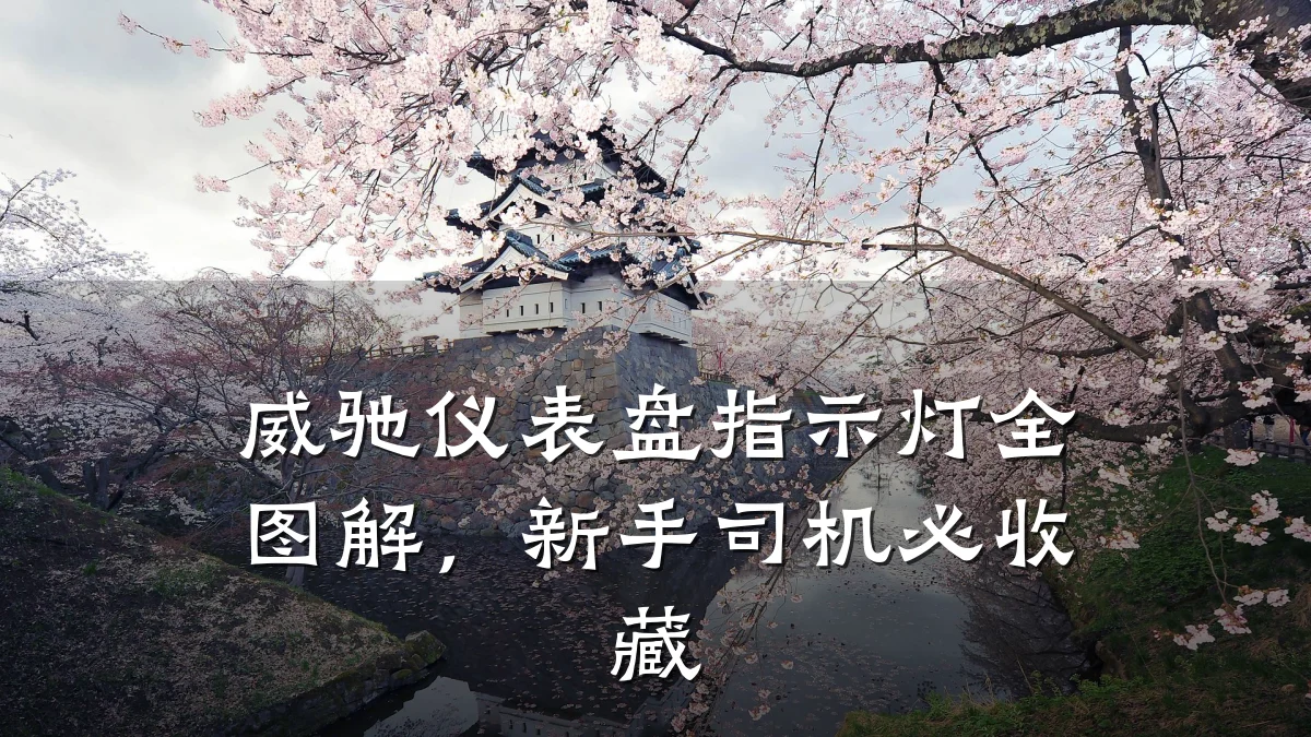 威驰仪表盘指示灯全图解,新手司机必收藏