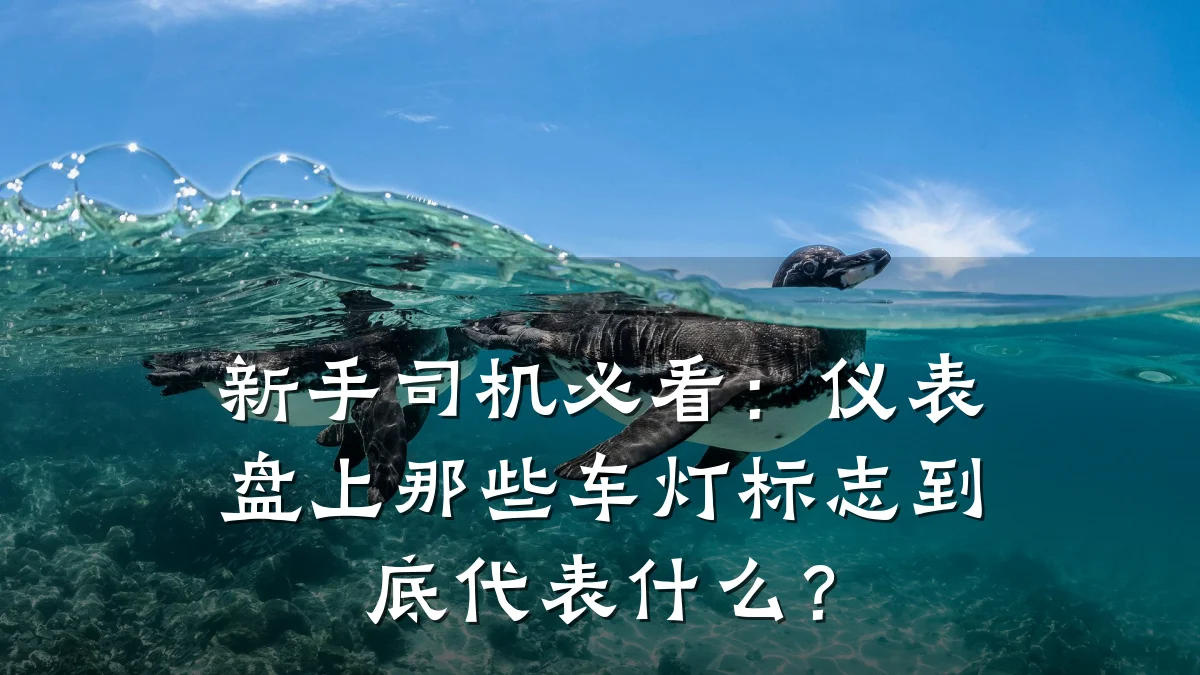 新手司机必看:仪表盘上那些车灯标志到底代表什么?