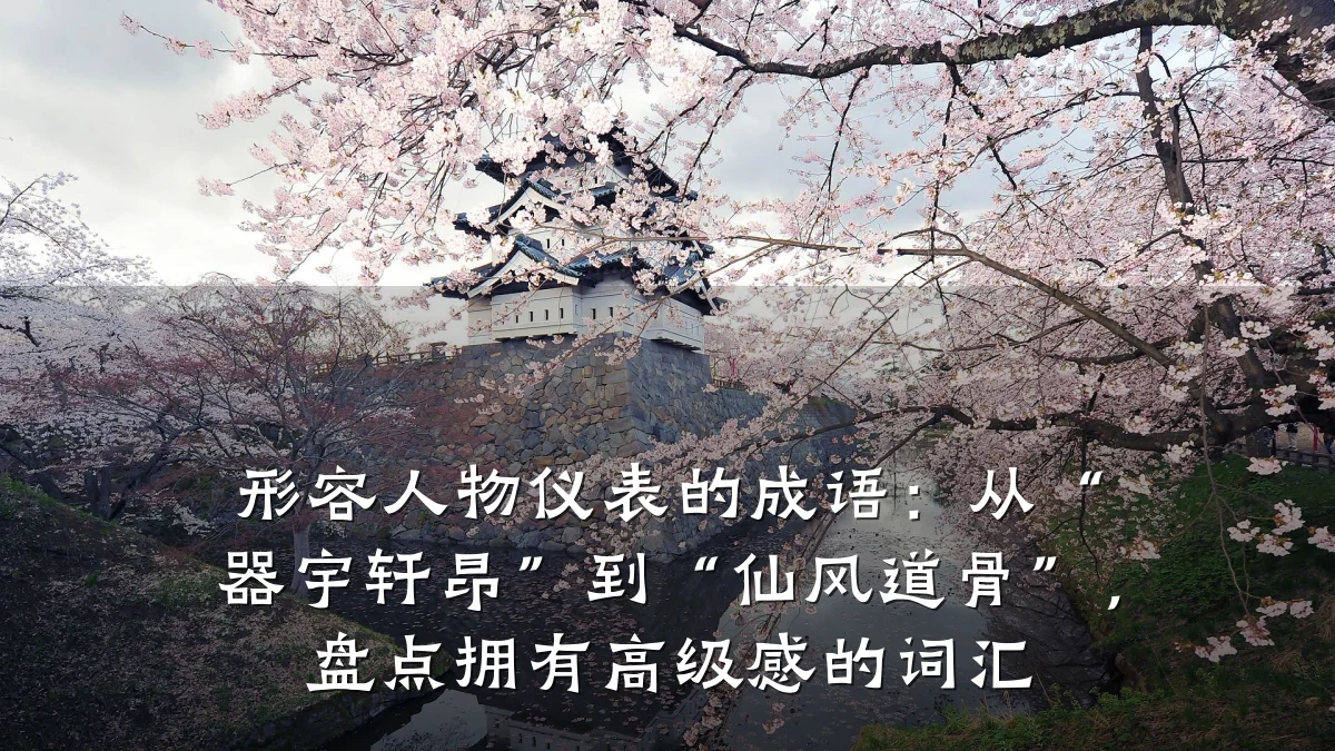 形容人物仪表的成语:从“器宇轩昂”到“仙风道骨”,盘点拥有高级感的词汇