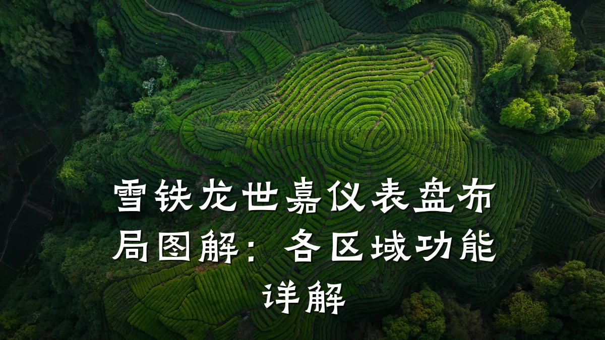 雪铁龙世嘉仪表盘布局图解:各区域功能详解