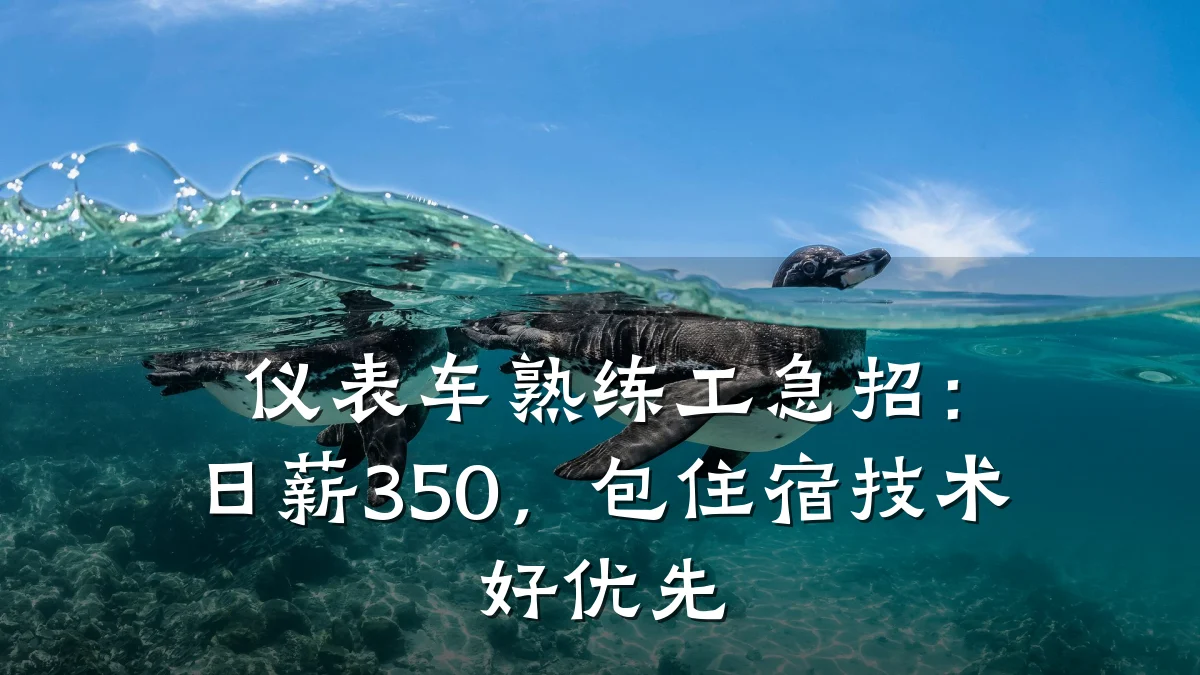 仪表车熟练工急招:日薪350,包住宿技术好优先