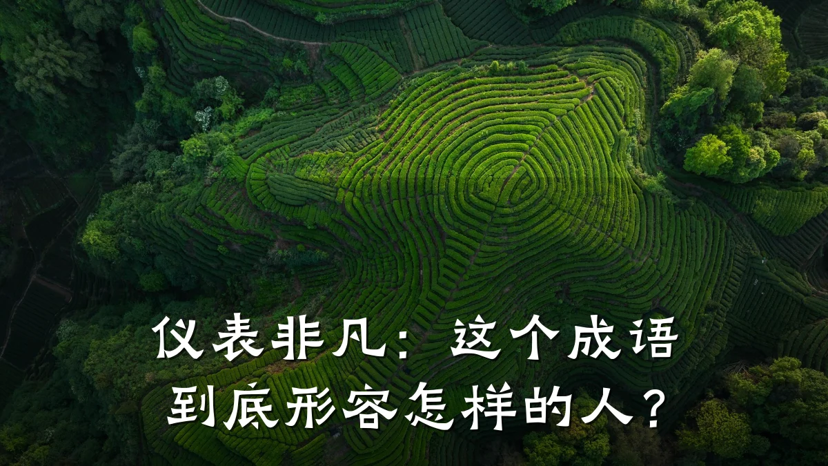 仪表非凡:这个成语到底形容怎样的人?