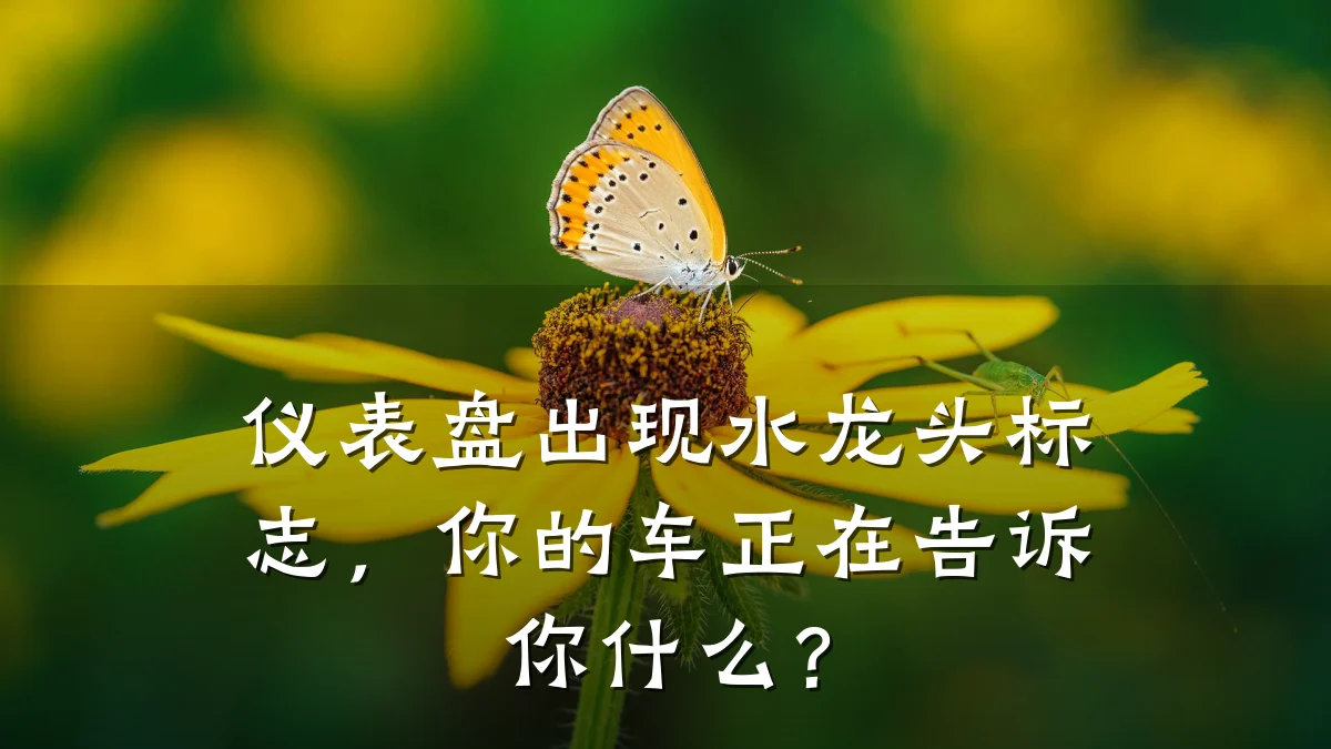 仪表盘出现水龙头标志,你的车正在告诉你什么?