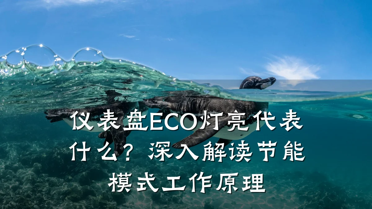 仪表盘ECO灯亮代表什么?深入解读节能模式工作原理