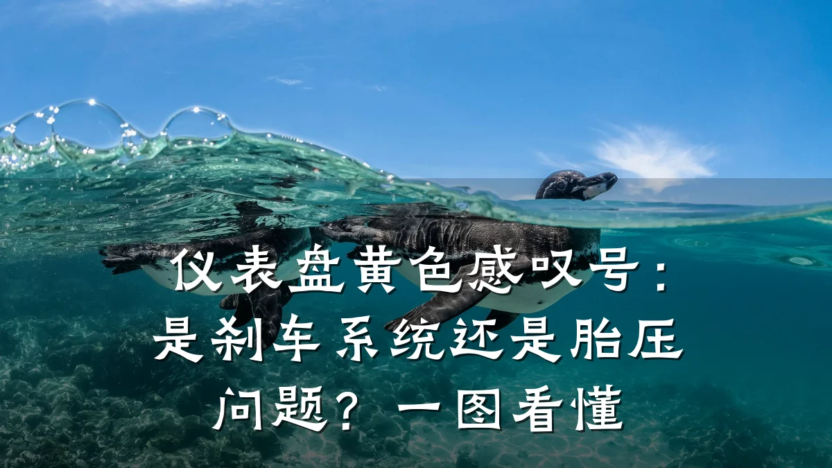 仪表盘黄色感叹号：是刹车系统还是胎压问题？一图看懂