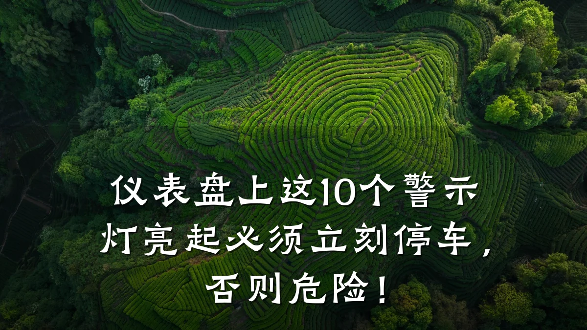 仪表盘上这10个警示灯亮起必须立刻停车,否则危险!