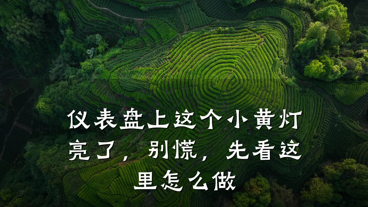 仪表盘上这个小黄灯亮了，别慌，先看这里怎么做