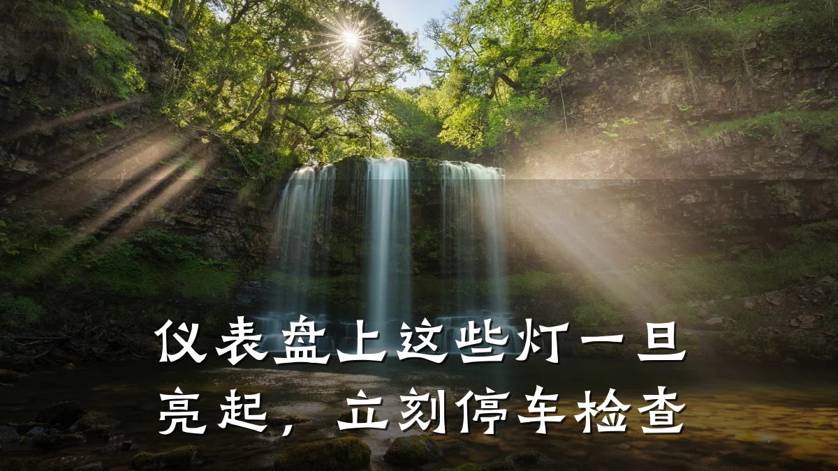 仪表盘上这些灯一旦亮起，立刻停车检查