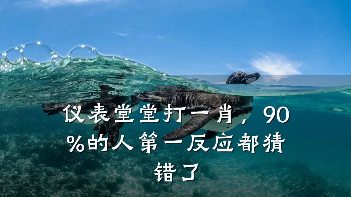 仪表堂堂打一肖,90%的人第一反应都猜错了