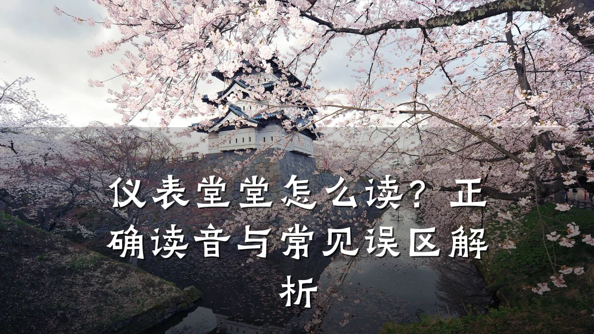 仪表堂堂怎么读?正确读音与常见误区解析