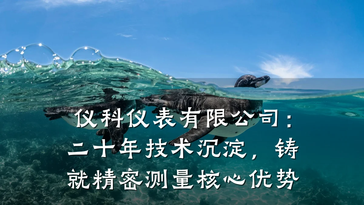 仪科仪表有限公司:二十年技术沉淀,铸就精密测量核心优势