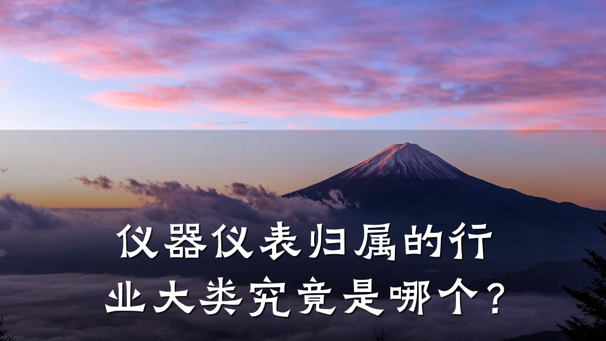 仪器仪表归属的行业大类究竟是哪个？