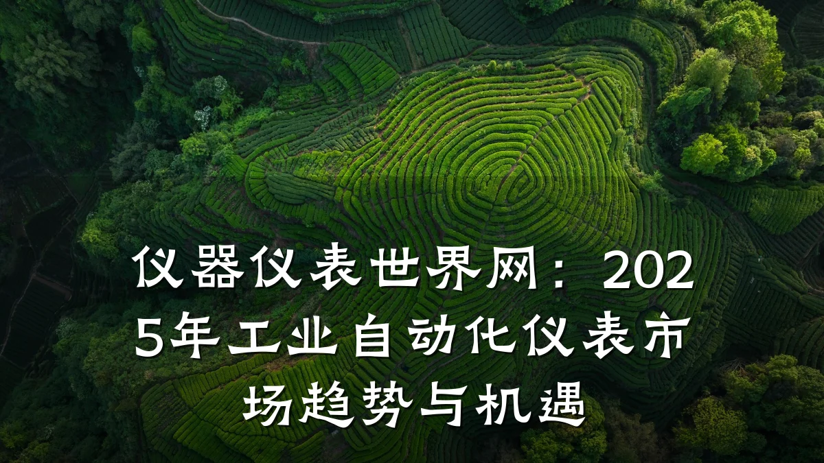 仪器仪表世界网：2025年工业自动化仪表市场趋势与机遇