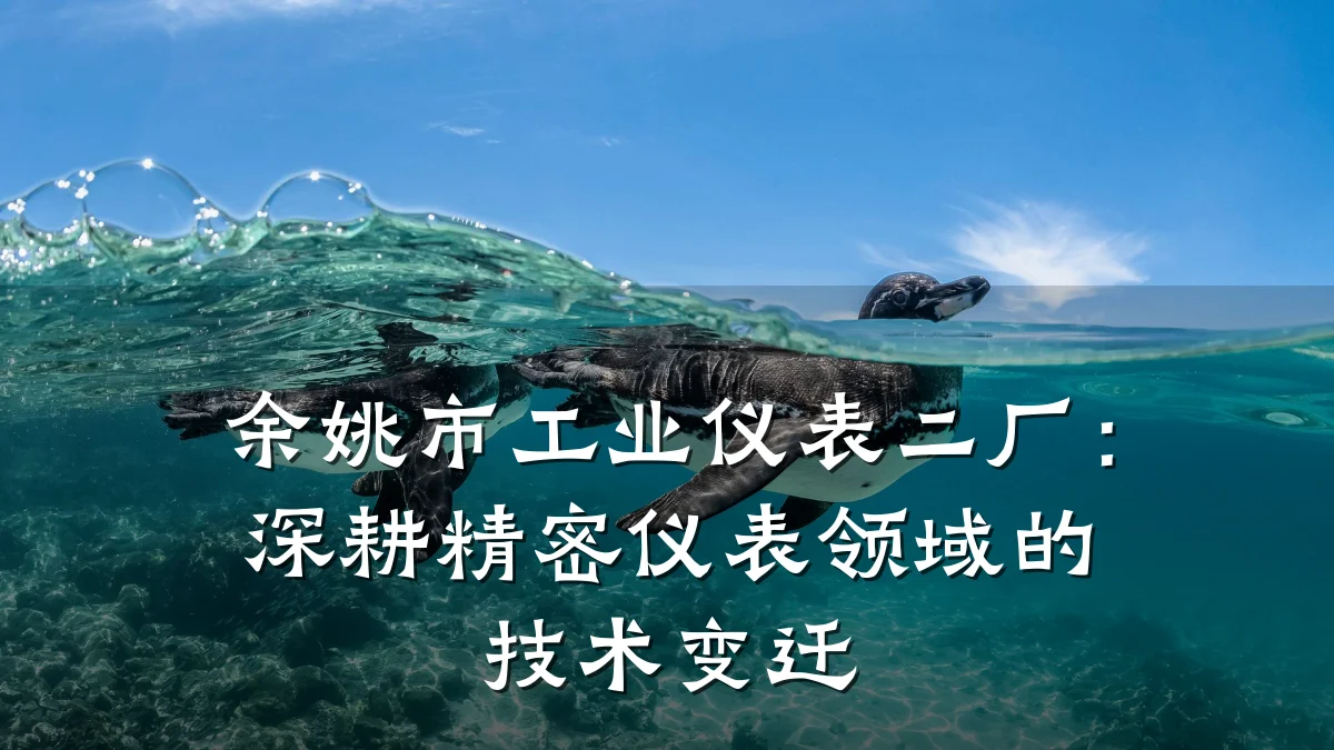余姚市工业仪表二厂:深耕精密仪表领域的技术变迁