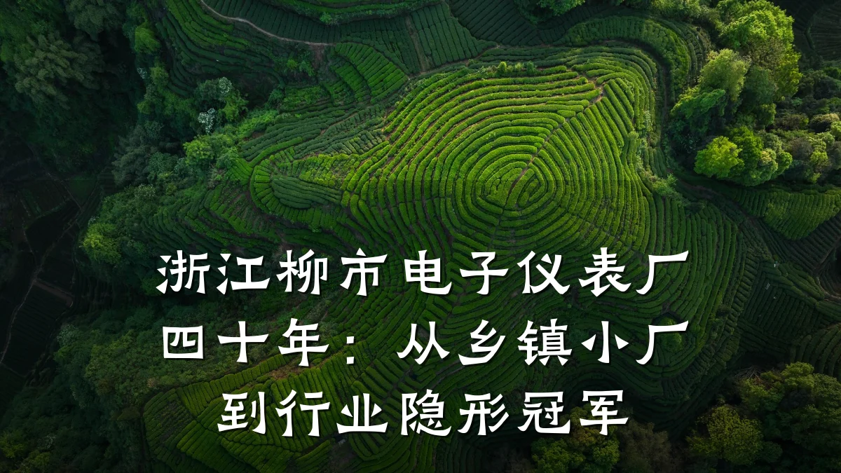 浙江柳市电子仪表厂四十年:从乡镇小厂到行业隐形冠军
