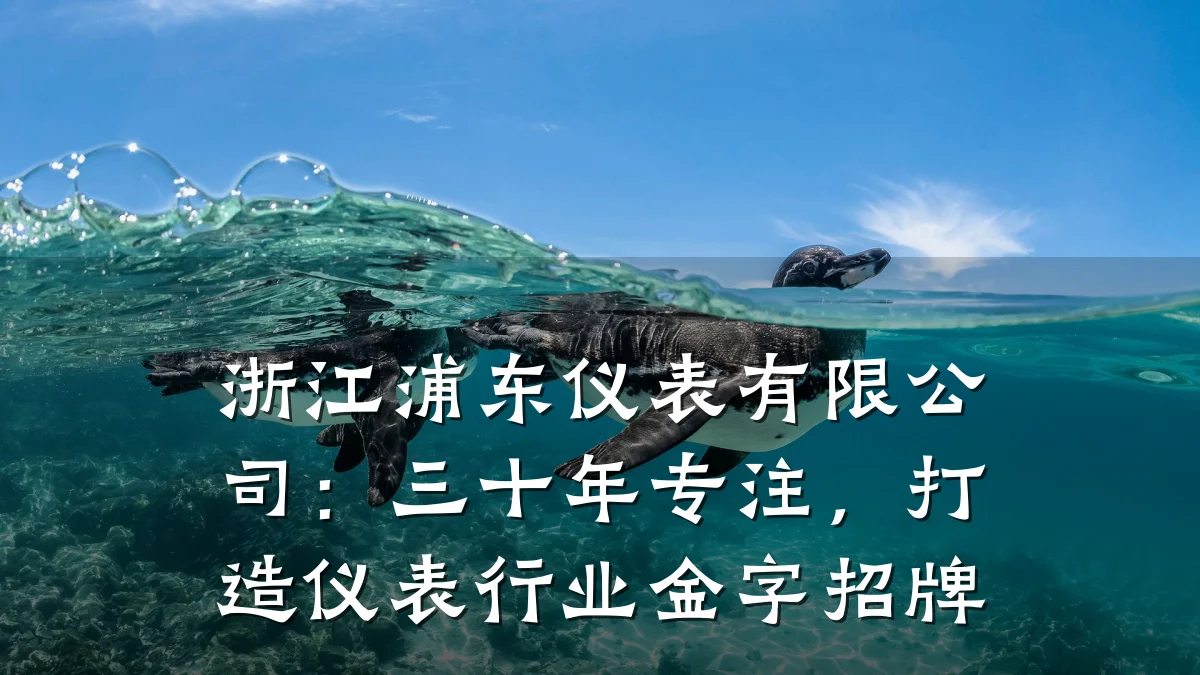浙江浦东仪表有限公司：三十年专注，打造仪表行业金字招牌